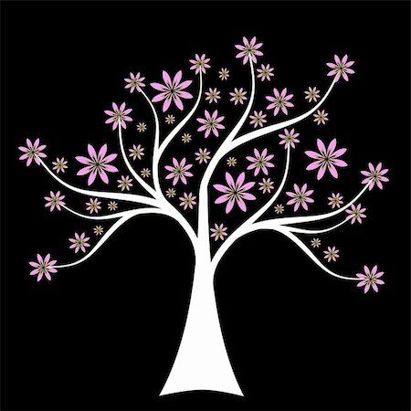 Beautiful spring tree isolated on black background Fotografie stock - Microstock e Abbonamento, Codice: 400-06083482