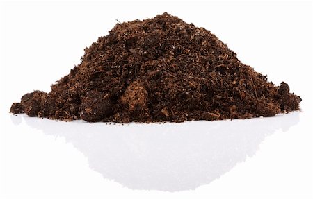 dark surface - Pile of soil for plant isolated on white background Photographie de stock - Aubaine LD & Abonnement, Code: 400-06083967