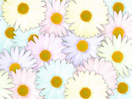 Abstract background of motley flowers for your design. Close-up. Studio photography. Foto de stock - Super Valor sin royalties y Suscripción, Código: 400-06094376