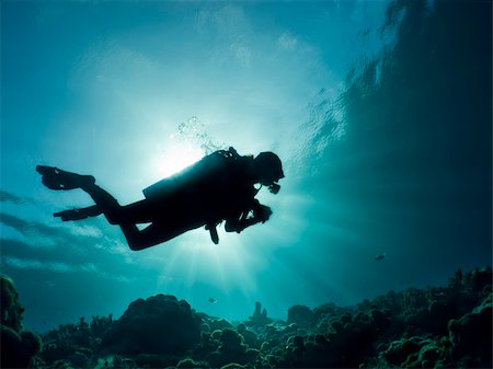 A silhouette of a scuba diver swimming in tropical blue water. Stock Photo - Budget Royalty-Free & Subscription, Code: 400-06094644