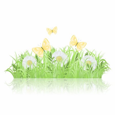 Green grass with white flowers and butterflies Stock Photo - Budget Royalty-Free & Subscription, Code: 400-06094716