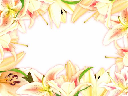 simsearch:400-06095720,k - Floral frame with lily flowers and green leaf on white background. Nature art ornament template for your design. Close-up. Studio photography. Stock Photo - Budget Royalty-Free & Subscription, Code: 400-06094766