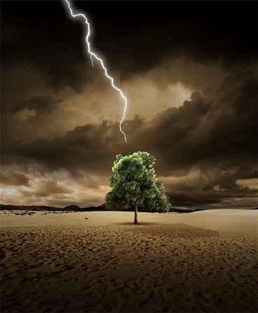Lighting is about to hit a treein the desert Stock Photo - Budget Royalty-Free & Subscription, Code: 400-06095193