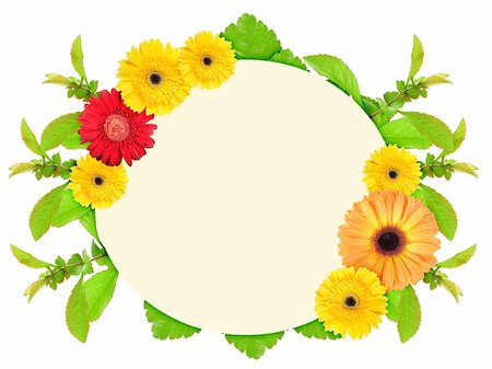 simsearch:400-06095720,k - Floral ellipse frame with motley flowers and green leaf. Nature art ornament template for your design. Isolated on white background. Close-up. Studio photography. Stock Photo - Budget Royalty-Free & Subscription, Code: 400-06095721