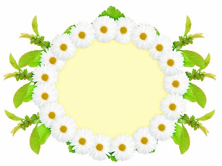simsearch:400-06095720,k - Floral ellipse frame with white flowers and green leaf. Nature art ornament template for your design. Isolated on white background. Close-up. Studio photography. Stock Photo - Budget Royalty-Free & Subscription, Code: 400-06095723