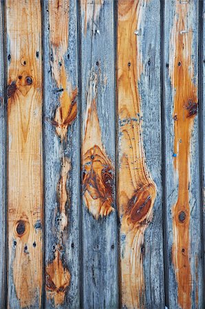 Wooden grunge texture Stock Photo - Budget Royalty-Free & Subscription, Code: 400-06096677