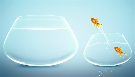 goldfish  jumping to Big bowl, Good Concept for new life, Big Opprtunity, Ambition and challenge concept. Stock Photo - Budget Royalty-Free & Subscription, Code: 400-06096766