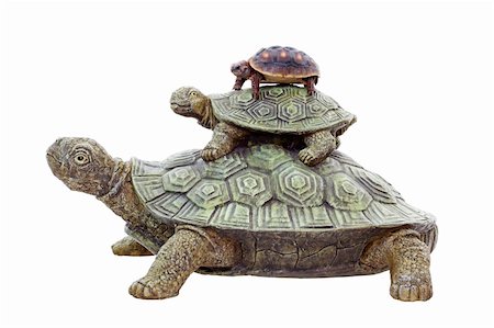 A 4 year-old tortoise on top of an ornamental stack of turtles.  Shot on white background. Photographie de stock - Aubaine LD & Abonnement, Code: 400-06097164