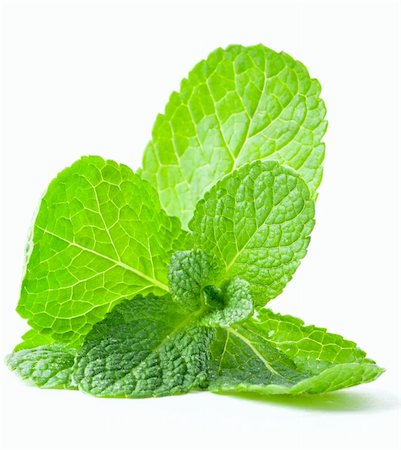 Mint leaf close up on a white background Stock Photo - Budget Royalty-Free & Subscription, Code: 400-06097253
