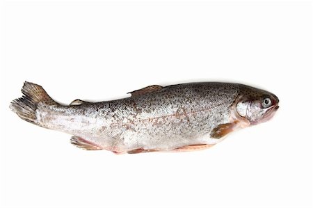 fish with fin - trout fish isolated on the white background Stock Photo - Budget Royalty-Free & Subscription, Code: 400-06098734