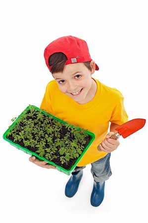 farmer help - Happy boy ready to plant spring seedlings - isolated Stock Photo - Budget Royalty-Free & Subscription, Code: 400-06098835