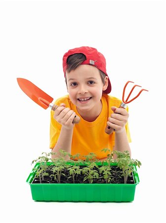 farmer help - Young boy learning to grow food - with tomato seedlings and gardening utensils Stock Photo - Budget Royalty-Free & Subscription, Code: 400-06098837