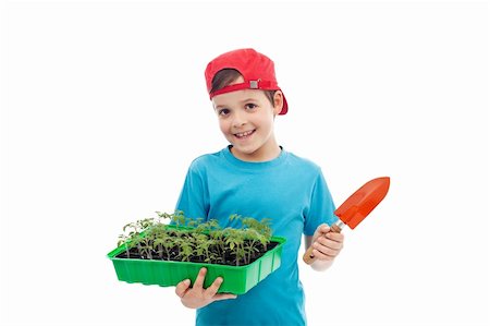 farmer help - Smiling boy with tomato seedlings in tray and small gardening spade - isolated Stock Photo - Budget Royalty-Free & Subscription, Code: 400-06098833