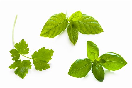 eelnosiva (artist) - herbs isolated: flat leaved parsley, mint and basil Foto de stock - Royalty-Free Super Valor e Assinatura, Número: 400-06099229