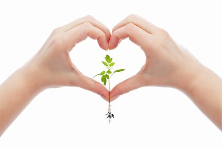 simsearch:649-06532928,k - Love and protect nature and life concept with woman hand holding young seedling Photographie de stock - Aubaine LD & Abonnement, Code: 400-06090532