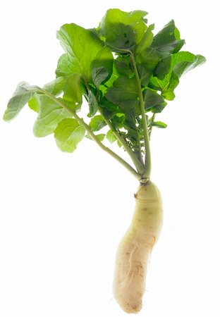 Fresh Daikon Radish Isolated on White with a Clipping Path. Stock Photo - Budget Royalty-Free & Subscription, Code: 400-06091469