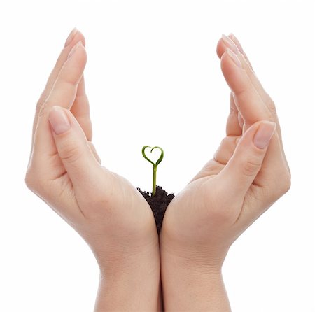 simsearch:649-06532928,k - Love and protect nature concept - woman hand shielding heart shaped seedling Photographie de stock - Aubaine LD & Abonnement, Code: 400-06091916