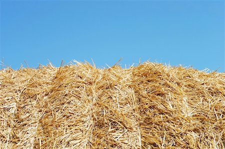 simsearch:400-04740844,k - Close-up of a hay bale Photographie de stock - Aubaine LD & Abonnement, Code: 400-06092088