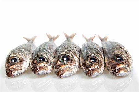 sergioua (artist) - Raw mackerel on the table. On a white background. Photographie de stock - Aubaine LD & Abonnement, Code: 400-06092279