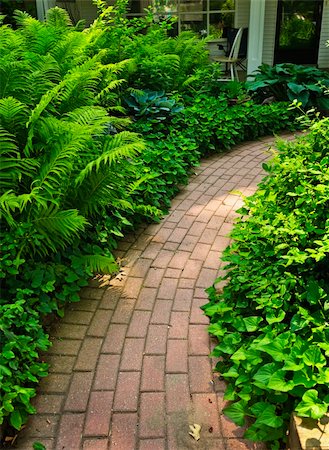 simsearch:400-03928841,k - Paved brick path in lush green summer garden Stock Photo - Budget Royalty-Free & Subscription, Code: 400-06092325