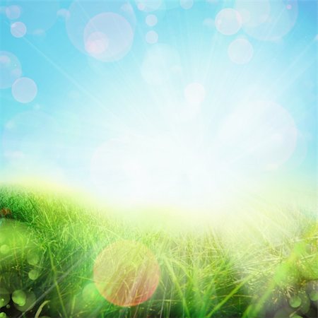 defocus - spring abstract nature background. Green grassy meadow Stock Photo - Budget Royalty-Free & Subscription, Code: 400-06093127