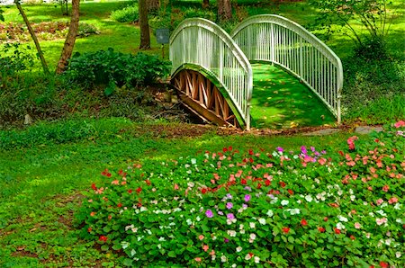 empty bridge - Image of a quaint garden with a small bridge over ravine Stock Photo - Budget Royalty-Free & Subscription, Code: 400-06093189