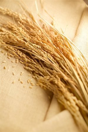 simsearch:400-06093195,k - wheat lay on linen Fotografie stock - Microstock e Abbonamento, Codice: 400-06093195