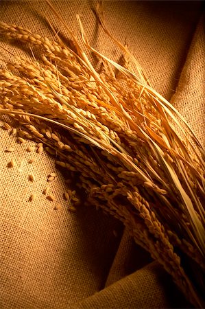simsearch:400-06093195,k - wheat lay on linen Fotografie stock - Microstock e Abbonamento, Codice: 400-06093196