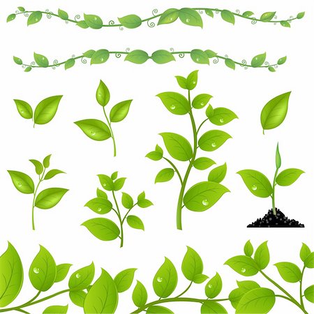 Set Of Green Leaves And Sprouts, Isolated On White Background, Vector Illustration Stock Photo - Budget Royalty-Free & Subscription, Code: 400-06093622