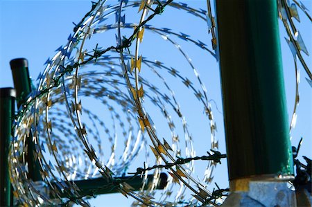 simsearch:400-04470103,k - barbed wire against blue sky as war background Photographie de stock - Aubaine LD & Abonnement, Code: 400-06093674