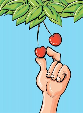 fruits tree cartoon images - Cartoon hand picking a cherry of a leafy branch Stock Photo - Budget Royalty-Free & Subscription, Code: 400-06093826