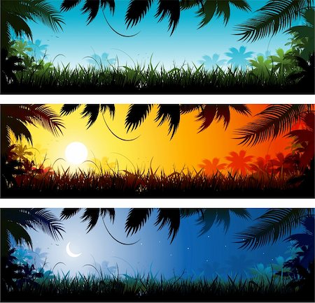 Jungle background illustration Foto de stock - Super Valor sin royalties y Suscripción, Código: 400-06093876