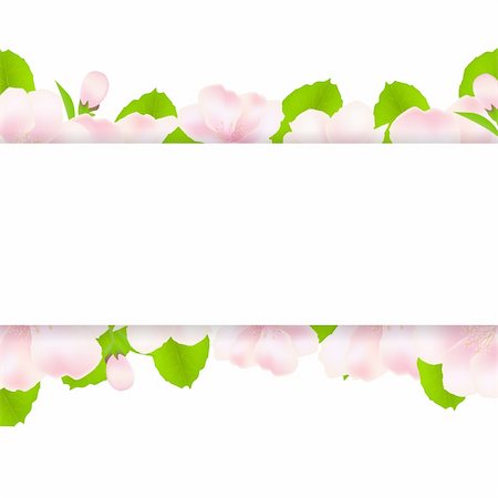 simsearch:400-04546055,k - Apple Tree Flowers With Paper, Isolated On White Background, Vector Illustration Stock Photo - Budget Royalty-Free & Subscription, Code: 400-06104016