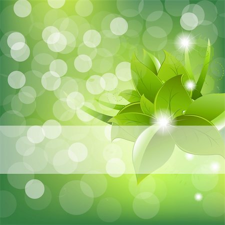 fotosintesi - Green Leaves Design With Sun Beams, Vector Illustration Fotografie stock - Microstock e Abbonamento, Codice: 400-06104032