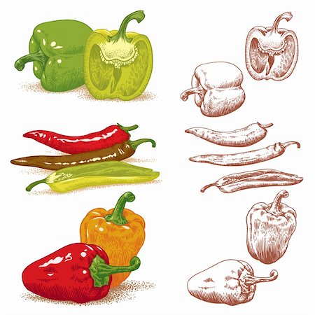 spice gardens - Set of various peppers. Vector illustration Stock Photo - Budget Royalty-Free & Subscription, Code: 400-06104259