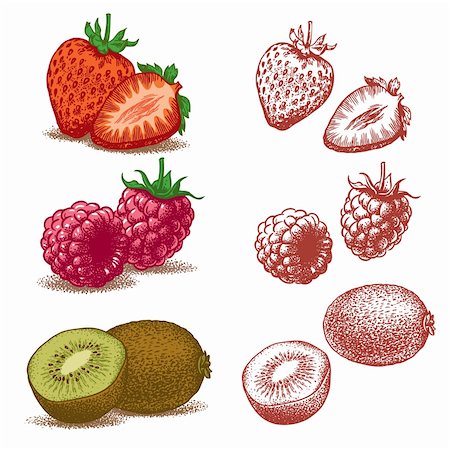 strawberry field - Set of fruits. Strawberry, Raspberry, Kiwi. Vector illustration Stock Photo - Budget Royalty-Free & Subscription, Code: 400-06104260