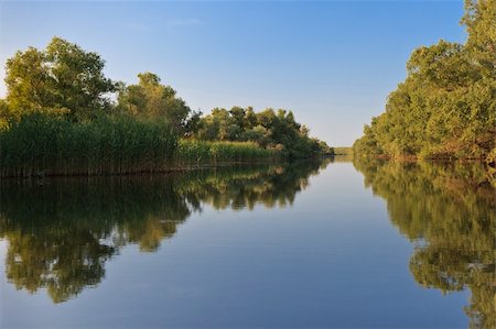 porojnicu (artist) - reflection of trees on a blue lake, Danube Delta, Romania Foto de stock - Super Valor sin royalties y Suscripción, Código: 400-06105724