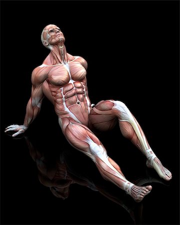 simsearch:400-05906819,k - a male model for human anatomy Stock Photo - Budget Royalty-Free & Subscription, Code: 400-06105774