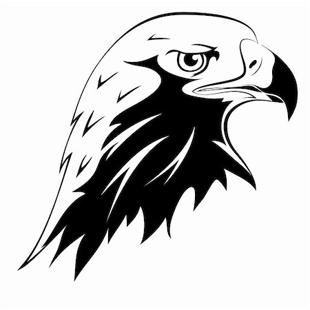 falcone - A wild predator. Tattoos. Vector black silhouette of an eagle's head Fotografie stock - Microstock e Abbonamento, Codice: 400-06106359