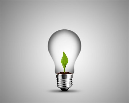 light bulb made from and small plant inside, light bulb conceptual Image. Stock Photo - Budget Royalty-Free & Subscription, Code: 400-06106628