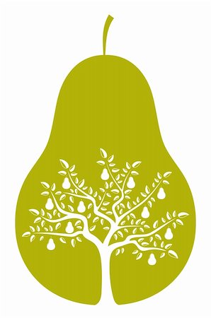 pear with leaves - vector pear tree in pear on white background, Adobe Illustrator 8 format Stock Photo - Budget Royalty-Free & Subscription, Code: 400-06107268