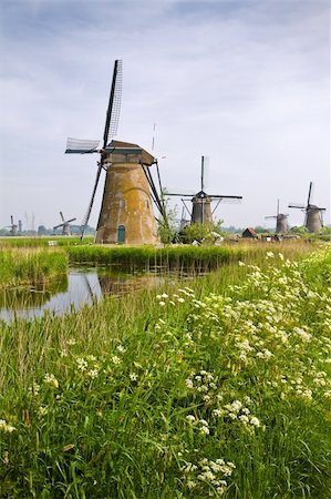 Country landscape with windmills at Kinderdijk, the Netherlands in spring with blooming Cow parsley Stock Photo - Budget Royalty-Free & Subscription, Code: 400-06107668