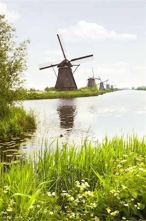 polder - Row of windmills in Kinderdijk, the Netherlands in spring with blooming Cow parsley Stock Photo - Budget Royalty-Free & Subscription, Code: 400-06107669