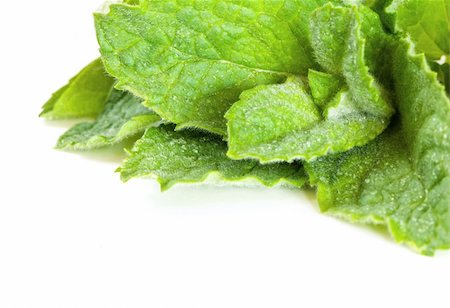 pepper mint tea - Fresh mint on a white background with water drops Stock Photo - Budget Royalty-Free & Subscription, Code: 400-06107742