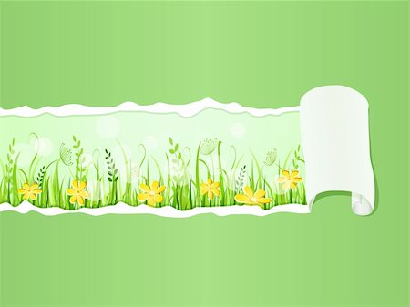 simsearch:400-05287751,k - Beautiful Green Grass Meadow under Ripped Paper. Floral Vector Illustration of Grass at Lawn With Blue Sky Fotografie stock - Microstock e Abbonamento, Codice: 400-06100118