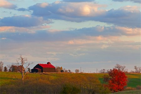 red barn in field - Image of a barn on the hillside Stock Photo - Budget Royalty-Free & Subscription, Code: 400-06100728