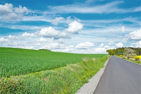 simsearch:400-08021784,k - Beautiful summer rural landscape with green field and blue sky Foto de stock - Super Valor sin royalties y Suscripción, Código: 400-06100889