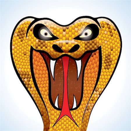 snake skin - highly detailed and terrifying cobra head Stock Photo - Budget Royalty-Free & Subscription, Code: 400-06100974