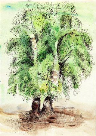 simsearch:400-08096452,k - Painted watercolor and ink card with green trees Stock Photo - Budget Royalty-Free & Subscription, Code: 400-06101564