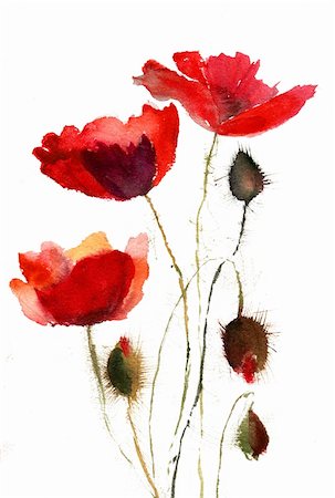 Red poppy flowers Photographie de stock - Aubaine LD & Abonnement, Code: 400-06101579